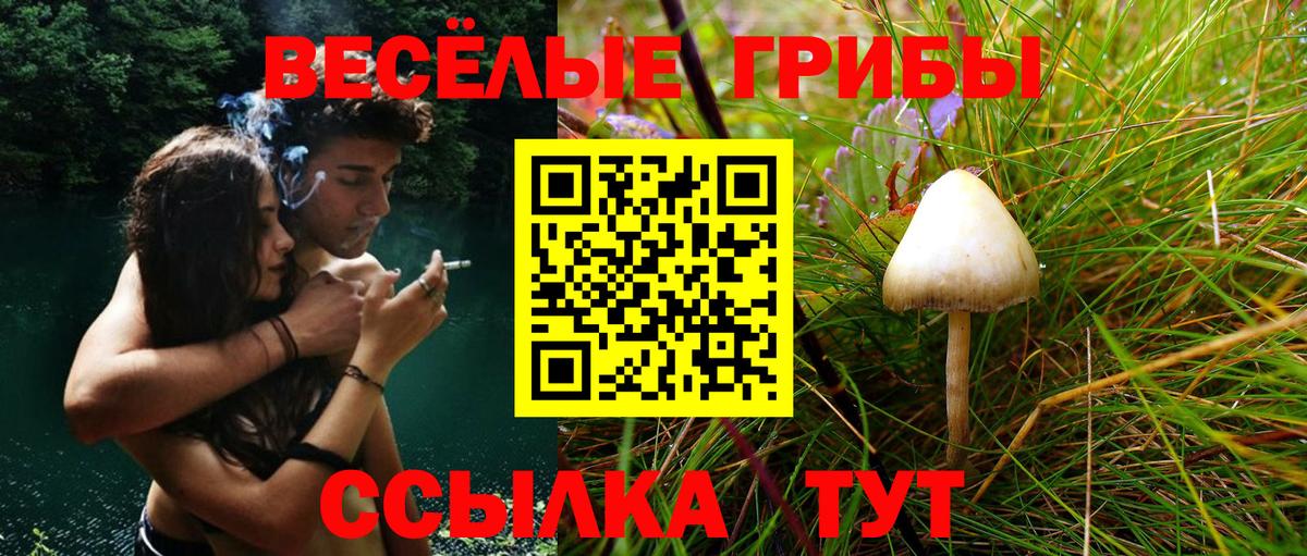 Галлюциногенные грибы Psilocybine cubensis  Вход с VPN  Кострома 