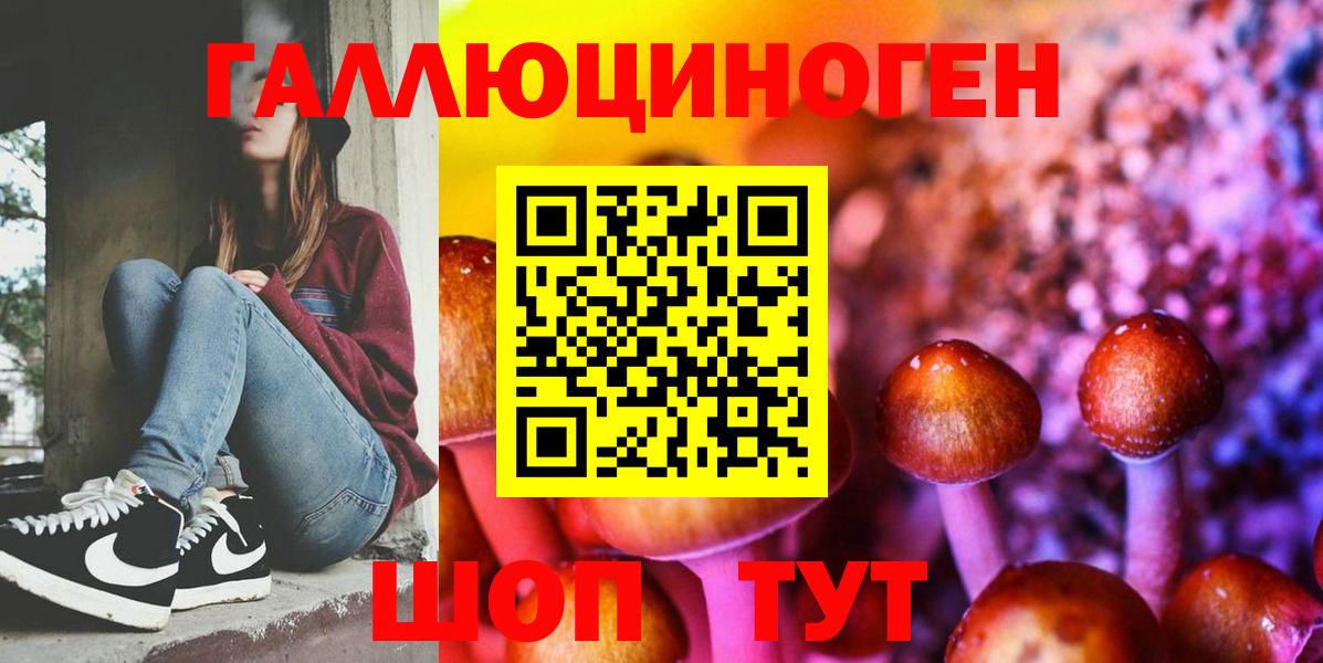 Галлюциногенные грибы Psilocybe Кострома