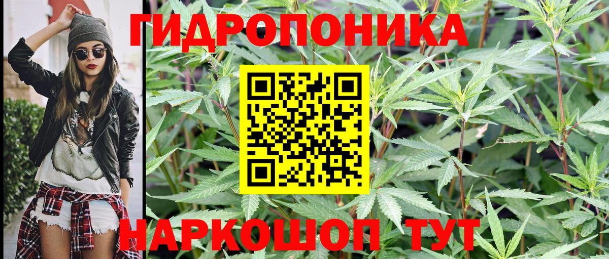 Конопля Ganja  МАРИХУАНА семена  Вход с VPN  Бошки марихуана OG Kush  Кострома 